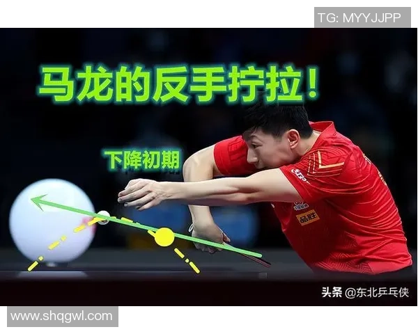 南京乒乓球队灵活性分析与其他球队的对比研究