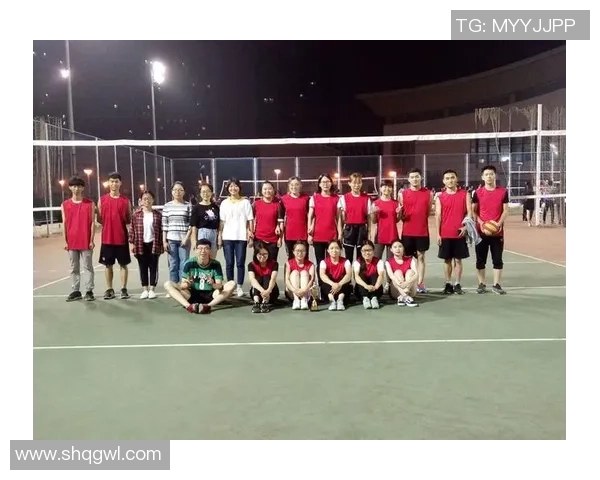 南京排球队实力强劲排球个人能力排行榜揭晓第4名荣誉