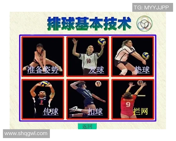 南京排球队防守策略揭秘深度分析排球技术与战术的完美结合