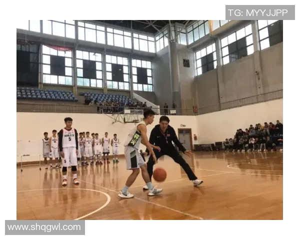南京篮球队在大师赛中的团队协作表现分析与启示