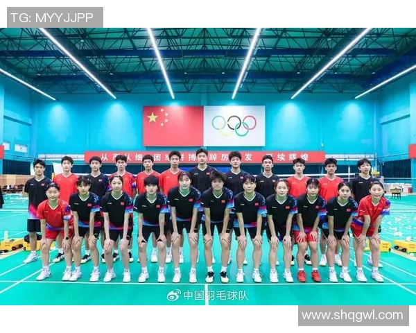 南京羽毛球队在杯赛中的耐力表现分析与总结 南京羽毛球队在杯赛中的耐力表现分析与总结