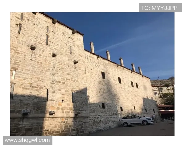 极限运动女王刘芳的挑战与坚持之路探秘 极限运动女王刘芳的挑战与坚持之路探秘