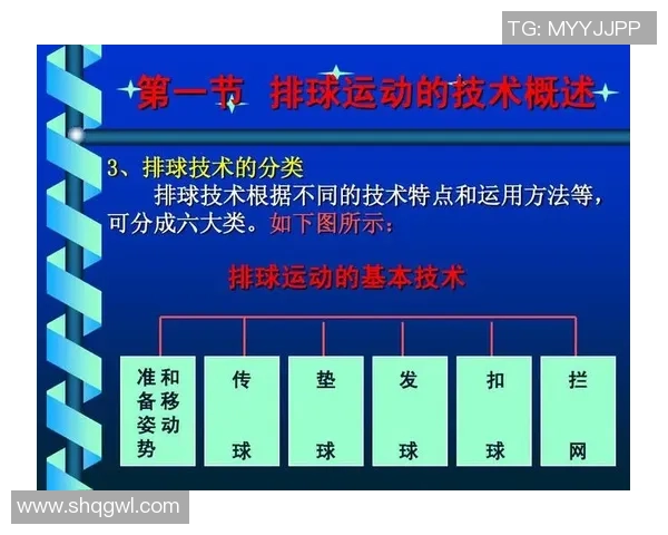 深圳排球队进攻策略深度解析与战术创新探讨
