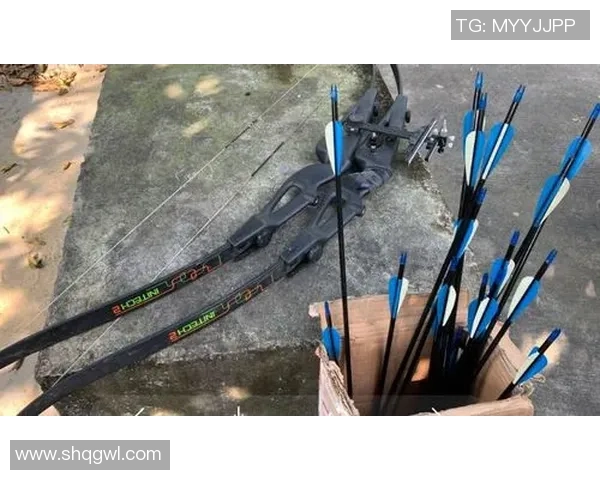 武汉攀岩队中路突破战术解析与实战应用探讨